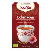 Echinacea Yogi Tea 