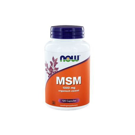 MSM 1000 mg Now 