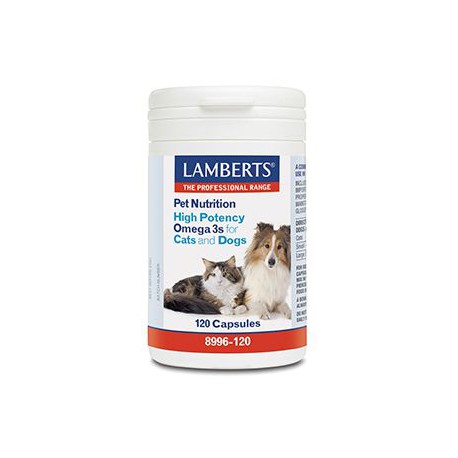 Omega 3 voor dieren hond en kat Lamberts 
