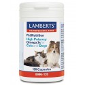 Omega 3 voor dieren hond en kat Lamberts 