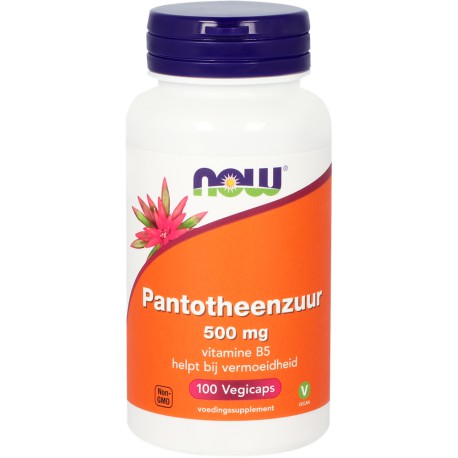 Pantotheenzuur 500 mg (B5)  NOW