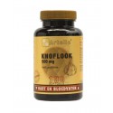 Knoflook 500 mg +250 mg lecithine Artelle