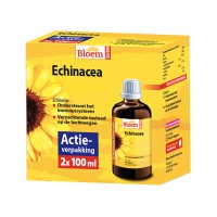 Echinacea – Duoverpakking Bloem