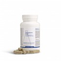 Immunozyme Forte Biotics 