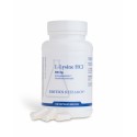 L-Lysine HCL 500mg Biotics
