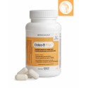 Osteo-B Plus Biotics 