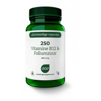 Vitamine B12 & Foliumzuur (800 mcg) 250 AOV