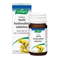 Solidago tabletten A. Vogel 