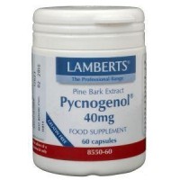 Pijnboombast extract (Pycnogenol 40mg) Lamberts