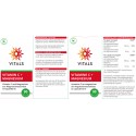 Vitamine C met magnesium Vitals 