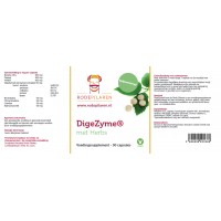 Digezyme Rode Pilaren