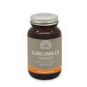 Geelwortel / Curcuma extract 95% 650 mg Mattisson 