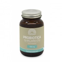 Probiotica met Prebiotica - 1000mg Mattisson