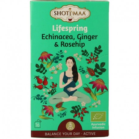 Lifespring echinacea, ginger & rosehip bio Shoti Maa Thee