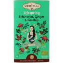 Lifespring echinacea, ginger & rosehip bio Shoti Maa Thee