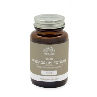 Astragalus Extract 475 mg Mattisson