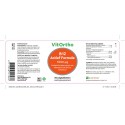 B12 Actief formule 1000 mcg Vitortho