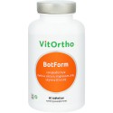 BotForm Vitorho