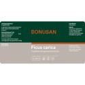 Ficus carica Bonusan
