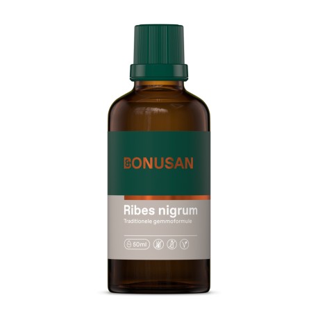 Ribes nigrum Bonusan