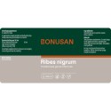 Ribes nigrum Bonusan