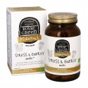 Stress & Energy Multi Royal Green
