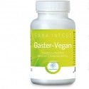 Gaster Vegan RP Vitamino