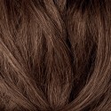 6D Donkergoud Blond Haarverf Herbatint