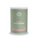 Collageen AlkaGreens Poeder Mattisson 