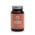 Absolute Cranberry D-Mannose met Berendruif extract Mattisson 