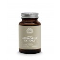 Astragalus Extract 475 mg Mattisson