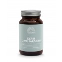 Kefir Gefermenteerd Probiotica Mattisson 