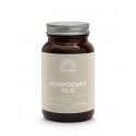 Pompoenpitolie met vitamine E - 1000mg Mattisson
