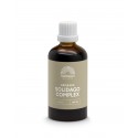 Biologisch Solidago complex tinctuur Mattisson