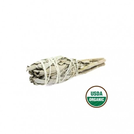 Mini witte salie rookstok Green Tree
