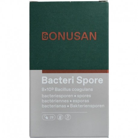 Bacteri Spore Bonusan