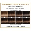 Mocha brown 4.03  Long Lasting Colour Henna Plus