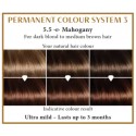 Mahogany 5.5  Long Lasting Colour Henna Plus