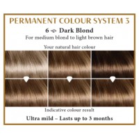 Dark blond 6  Long Lasting Colour Henna Plus