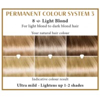 Light blond 8  Long Lasting Colour Henna Plus