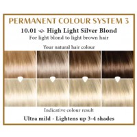High light silver blond 10.01 Long Lasting Colour Henna Plus