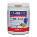 Cogni-focus Lamberts
