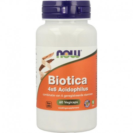 Biotica 4x6 acidophilus Now