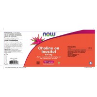 Choline en Inositol 500 mg NOW