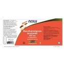 Saccharomyces boulardii 500 mg NOW