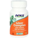 IJzer Complex met actieve B12 en Folaat NOW