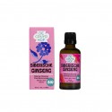 Siberische ginseng BIO Cruydhof