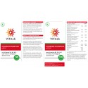 Vitamine B Complex Actief Vitals 