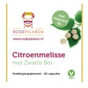 Citroenmelisse Rode Pilaren