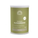Biologisch AlkaGreens poeder - Mushroom Mattisson